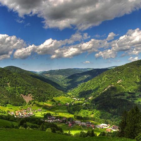 Urlaub Auf 1.000 Meter Hoehe Mit Pool Und Sauna Schönwald Bagian luar foto