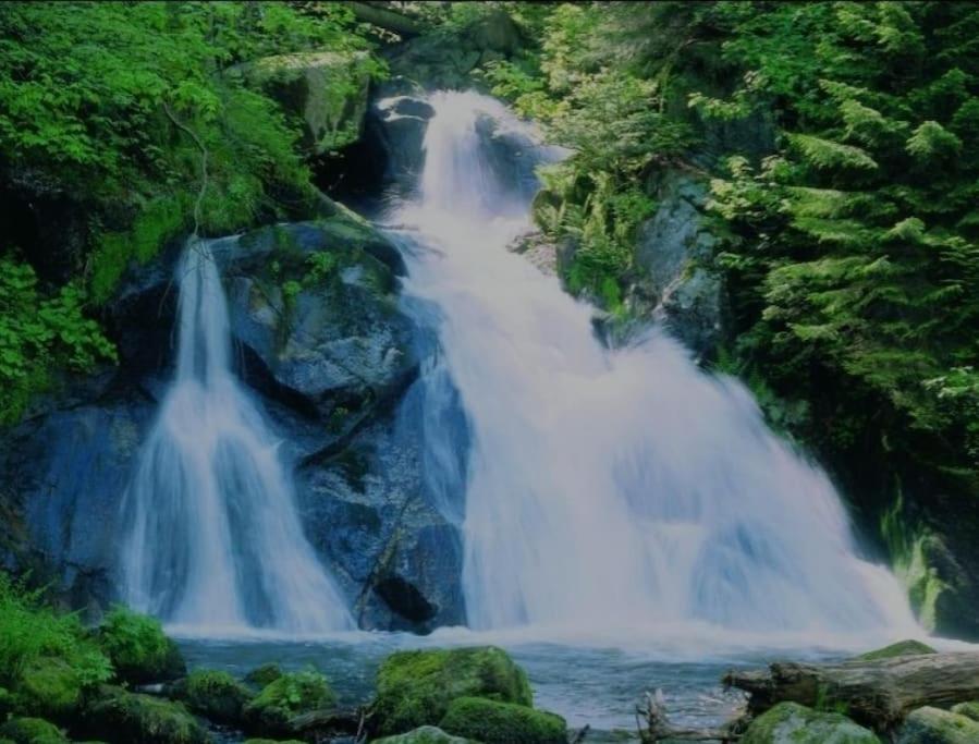 Urlaub Auf 1.000 Meter Hoehe Mit Pool Und Sauna Schönwald Bagian luar foto