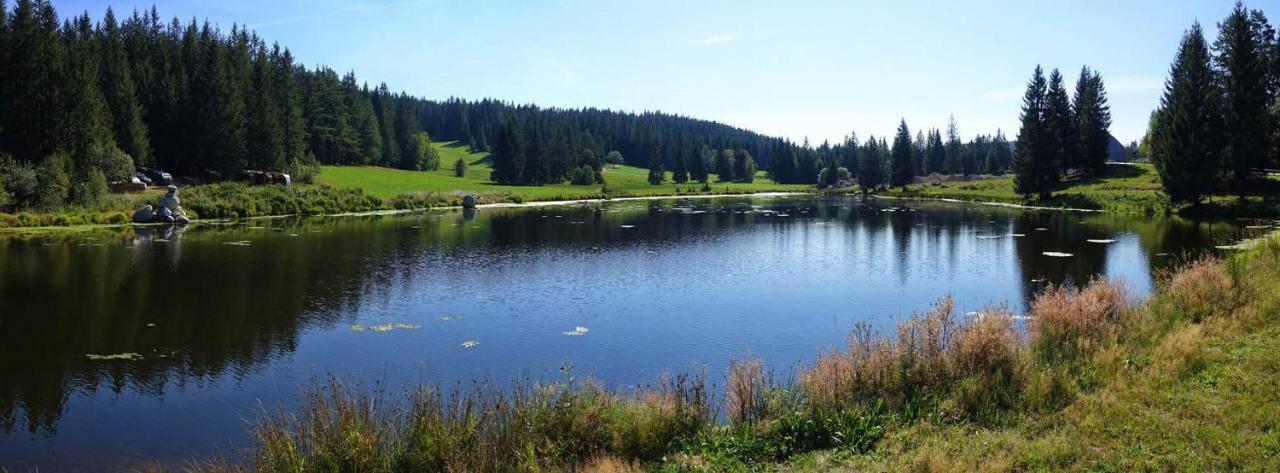 Urlaub Auf 1.000 Meter Hoehe Mit Pool Und Sauna Schönwald Bagian luar foto