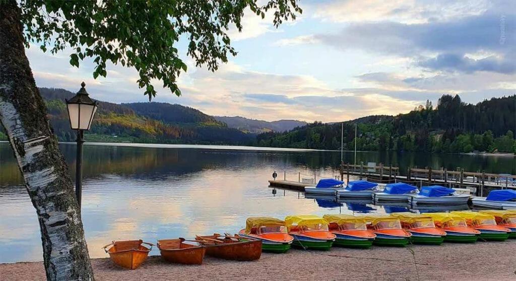 Urlaub Auf 1.000 Meter Hoehe Mit Pool Und Sauna Schönwald Bagian luar foto