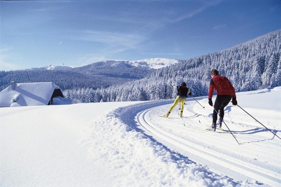 Urlaub Auf 1.000 Meter Hoehe Mit Pool Und Sauna Schönwald Bagian luar foto