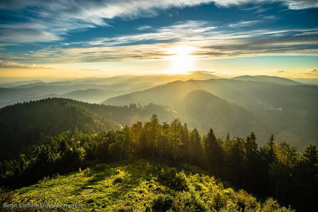 Urlaub Auf 1.000 Meter Hoehe Mit Pool Und Sauna Schönwald Bagian luar foto