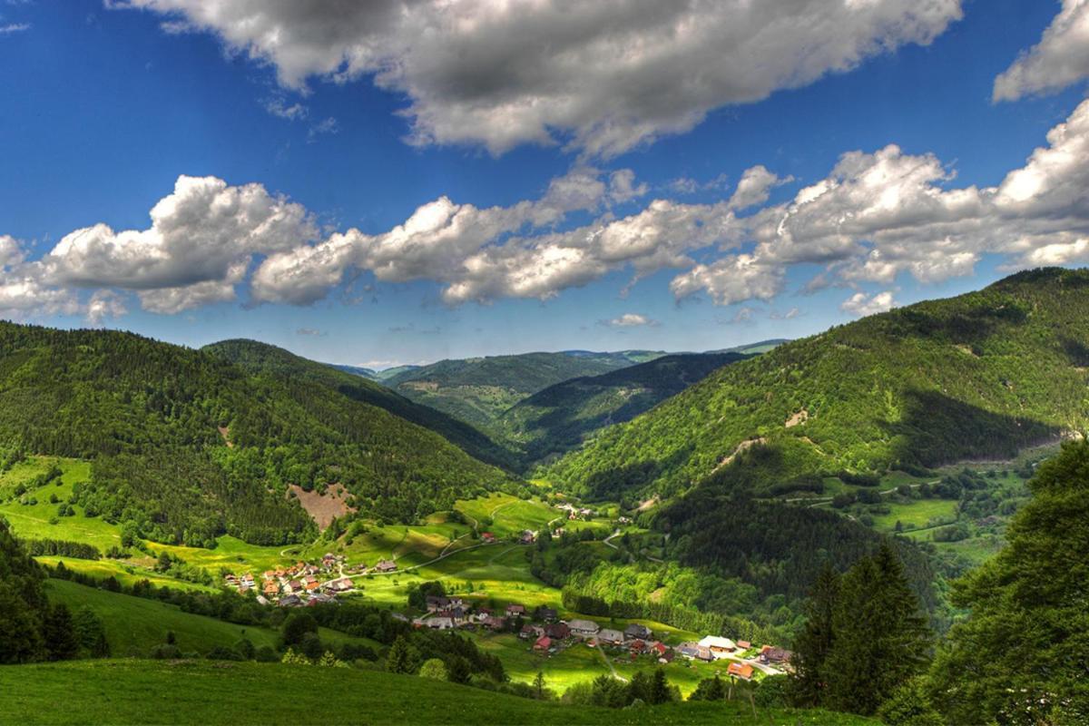 Urlaub Auf 1.000 Meter Hoehe Mit Pool Und Sauna Schönwald Bagian luar foto